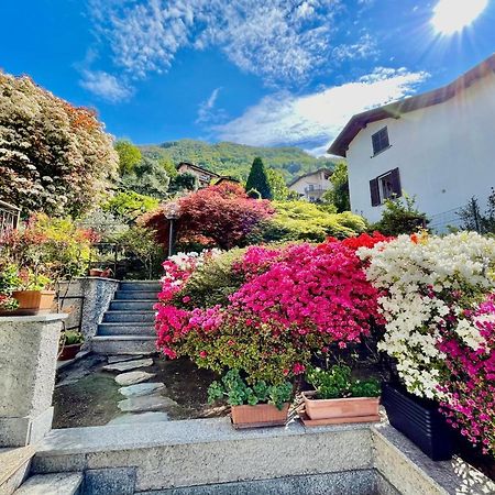 Eden Sul Lago Di Como Nesso Bagian luar foto