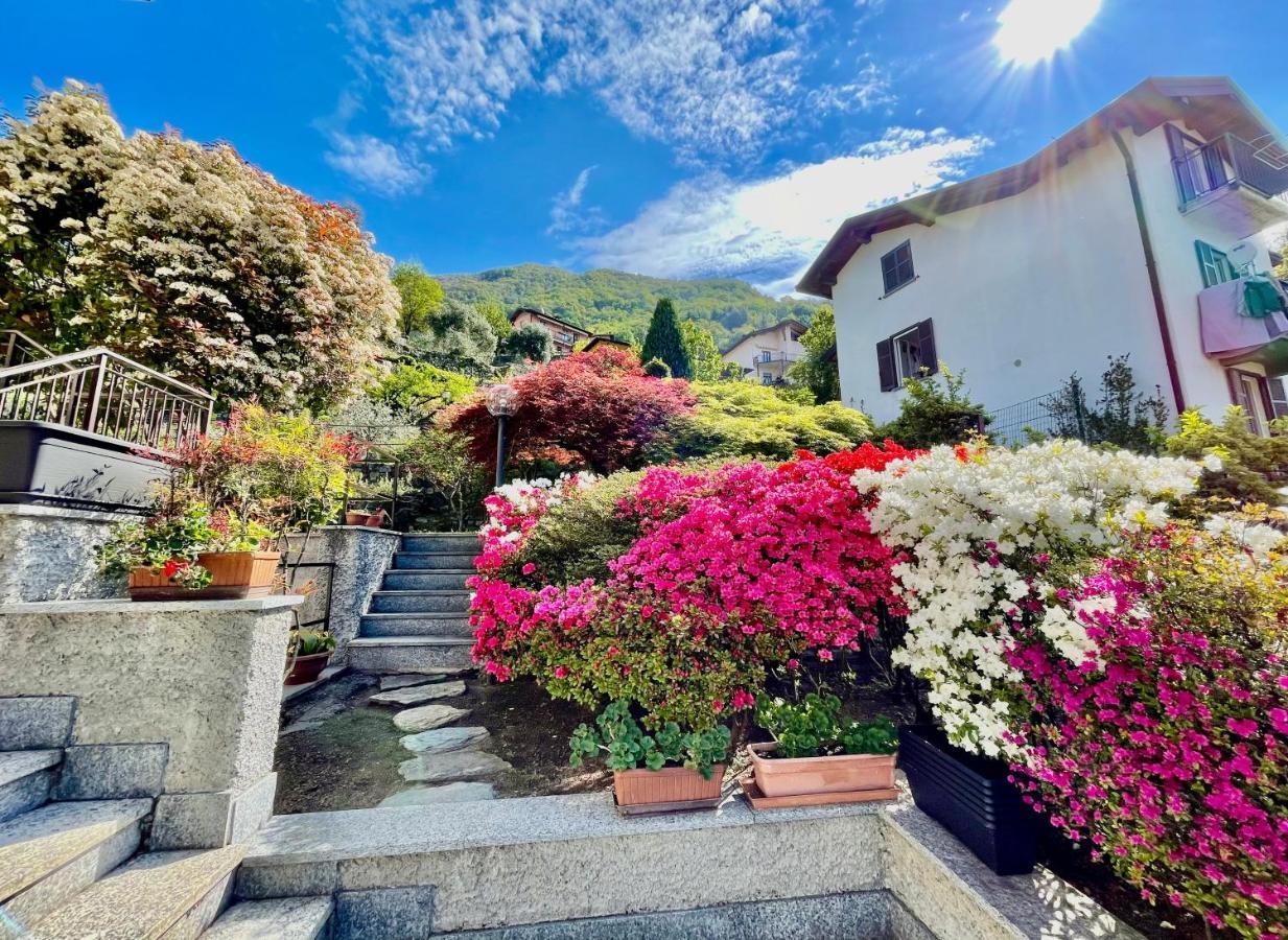 Eden Sul Lago Di Como Nesso Bagian luar foto