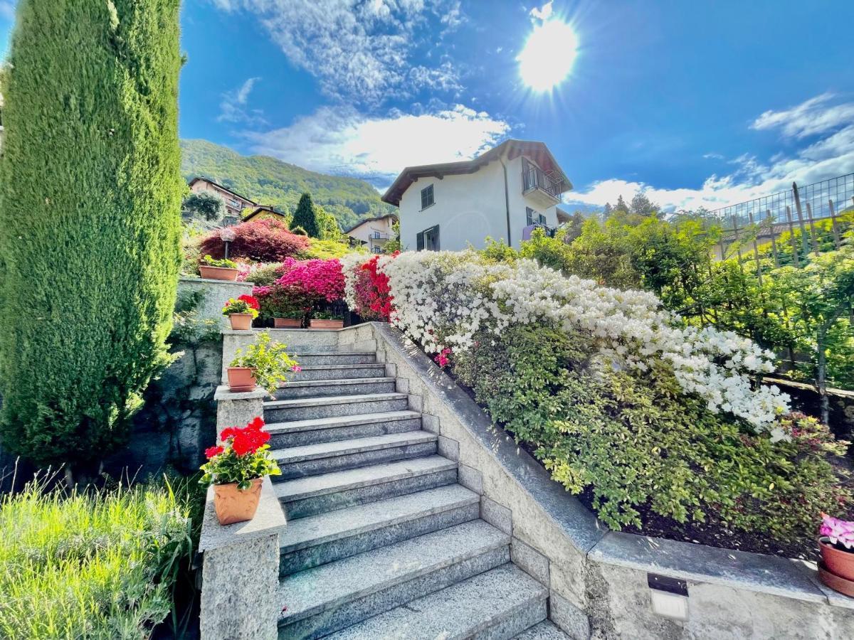 Eden Sul Lago Di Como Nesso Bagian luar foto