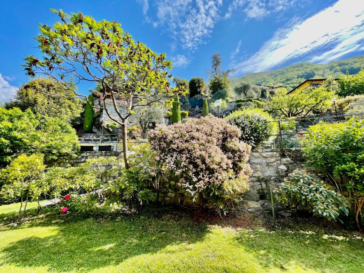Eden Sul Lago Di Como Nesso Bagian luar foto
